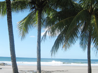 Playa Avellana