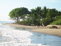 Playa Negra